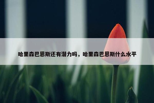 哈里森巴恩斯还有潜力吗，哈里森巴恩斯什么水平