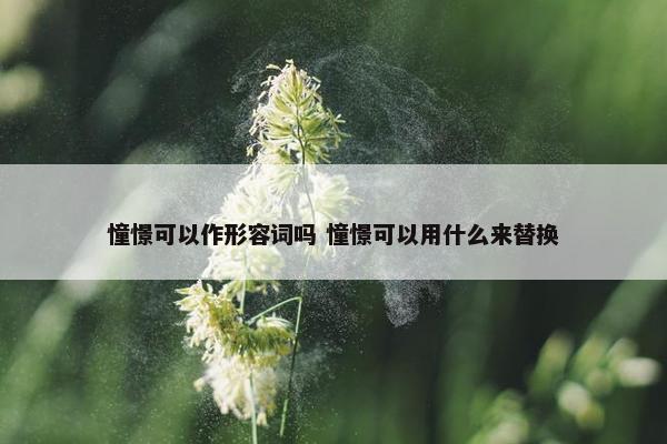 憧憬可以作形容词吗 憧憬可以用什么来替换