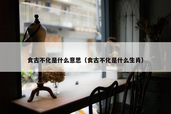 食古不化是什么意思（食古不化是什么生肖）