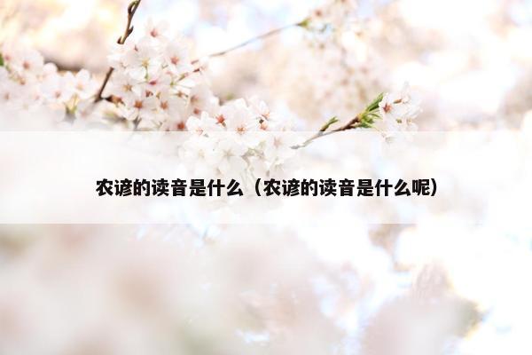 农谚的读音是什么（农谚的读音是什么呢）