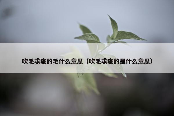 吹毛求疵的毛什么意思（吹毛求疵的是什么意思）