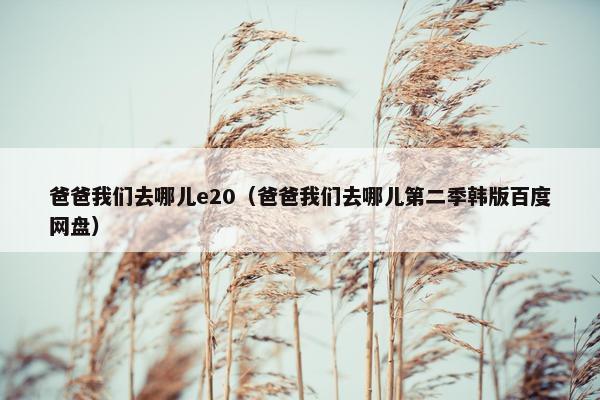 爸爸我们去哪儿e20（爸爸我们去哪儿第二季韩版百度网盘）