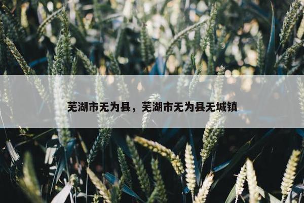 芜湖市无为县，芜湖市无为县无城镇