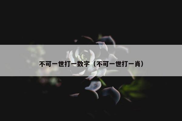 不可一世打一数字（不可一世打一肖）