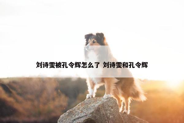 刘诗雯被孔令辉怎么了 刘诗雯和孔令辉