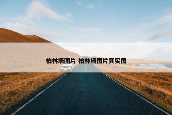 柏林墙图片 柏林墙图片真实图