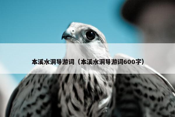 本溪水洞导游词（本溪水洞导游词600字）