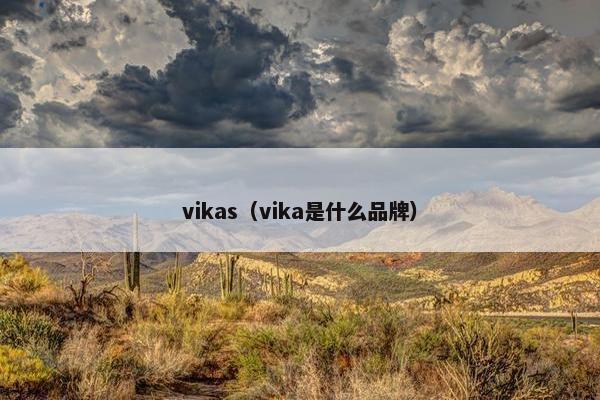 vikas（vika是什么品牌）