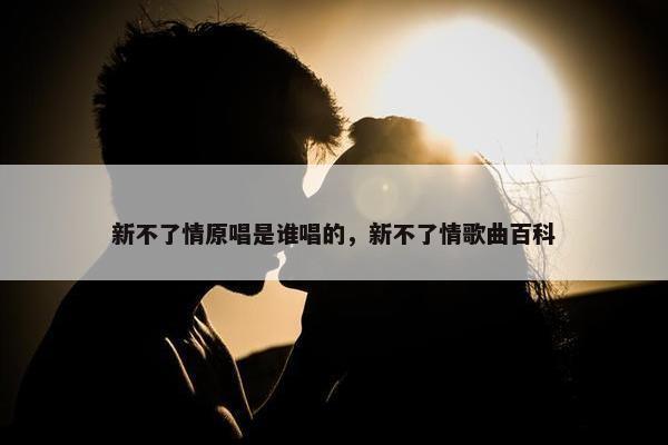 新不了情原唱是谁唱的，新不了情歌曲百科