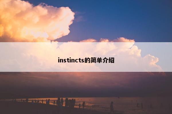 instincts的简单介绍