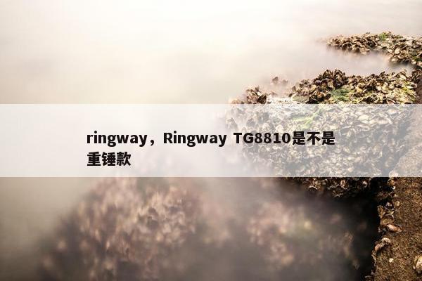 ringway，Ringway TG8810是不是重锤款