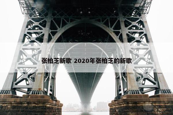 张柏芝新歌 2020年张柏芝的新歌