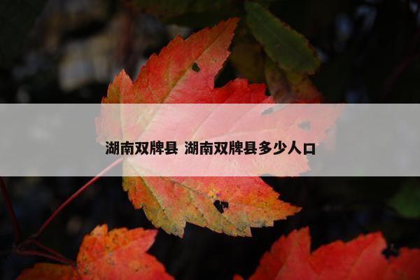 湖南双牌县 湖南双牌县多少人口