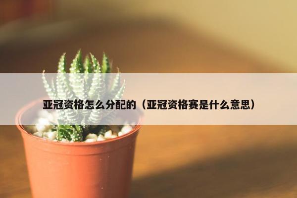 亚冠资格怎么分配的（亚冠资格赛是什么意思）