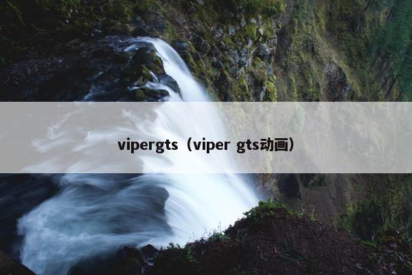 vipergts（viper gts动画）