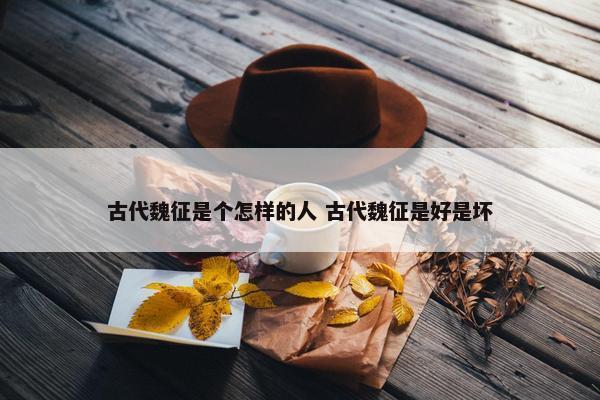 古代魏征是个怎样的人 古代魏征是好是坏