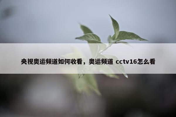 央视奥运频道如何收看，奥运频道 cctv16怎么看