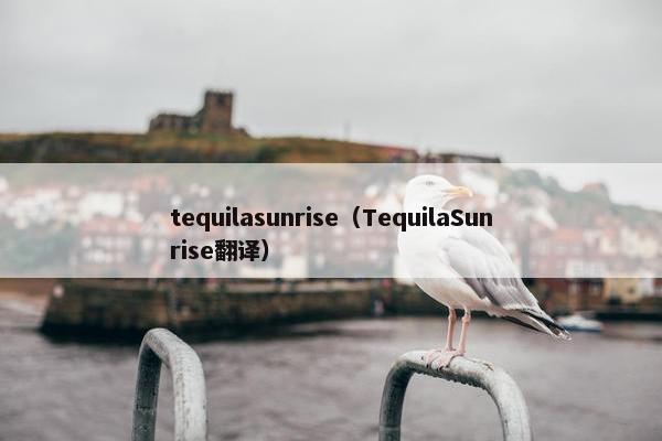 tequilasunrise（TequilaSunrise翻译）