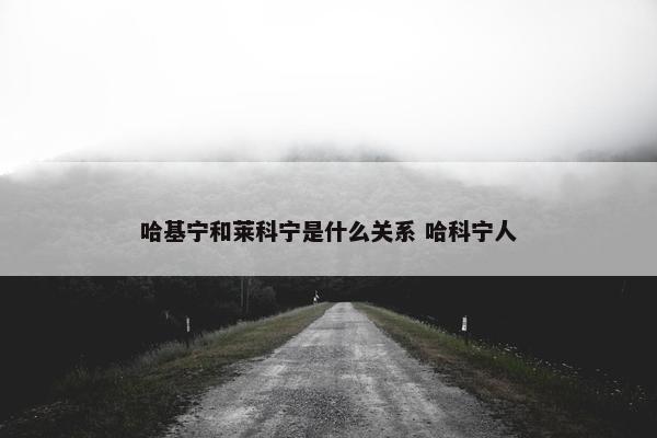 哈基宁和莱科宁是什么关系 哈科宁人