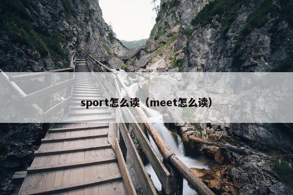 sport怎么读（meet怎么读）