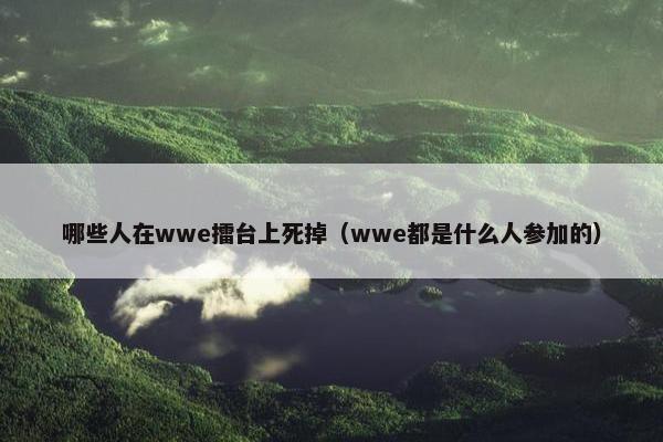 哪些人在wwe擂台上死掉（wwe都是什么人参加的）