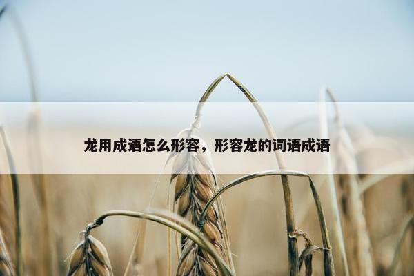 龙用成语怎么形容，形容龙的词语成语