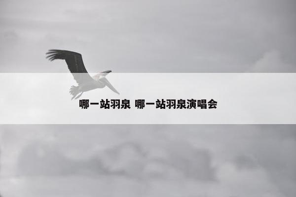 哪一站羽泉 哪一站羽泉演唱会