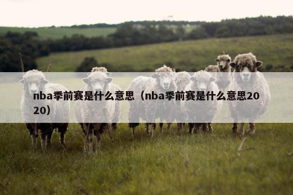 nba季前赛是什么意思（nba季前赛是什么意思2020）