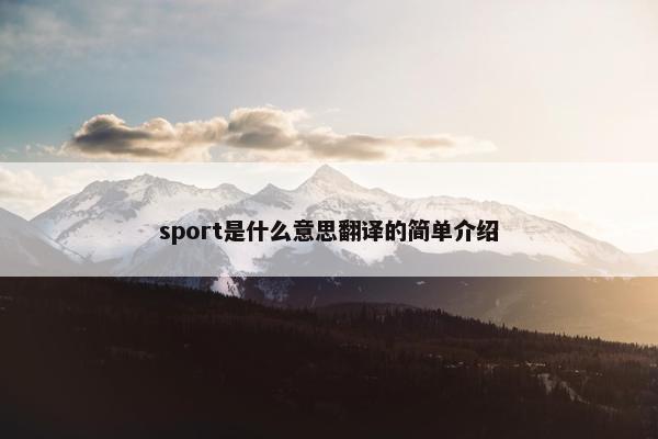 sport是什么意思翻译的简单介绍