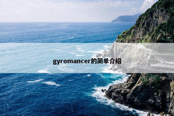 gyromancer的简单介绍