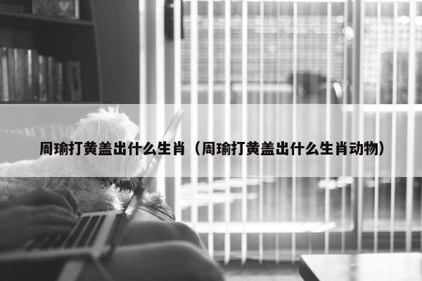 周瑜打黄盖出什么生肖（周瑜打黄盖出什么生肖动物）