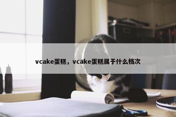 vcake蛋糕，vcake蛋糕属于什么档次