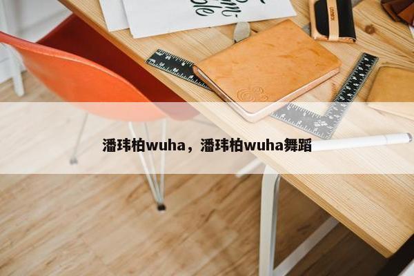 潘玮柏wuha，潘玮柏wuha舞蹈