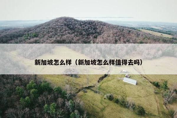 新加坡怎么样（新加坡怎么样值得去吗）