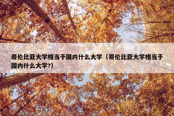 哥伦比亚大学相当于国内什么大学（哥伦比亚大学相当于国内什么大学?）