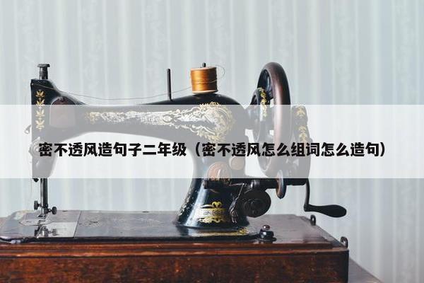 密不透风造句子二年级（密不透风怎么组词怎么造句）