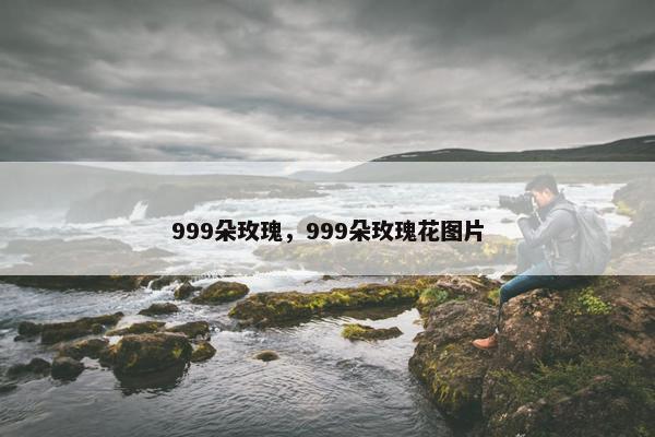 999朵玫瑰，999朵玫瑰花图片