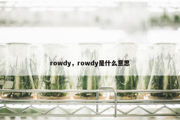 rowdy，rowdy是什么意思