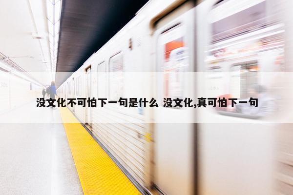 没文化不可怕下一句是什么 没文化,真可怕下一句