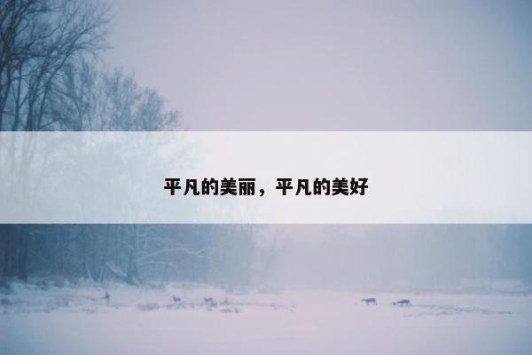 平凡的美丽，平凡的美好