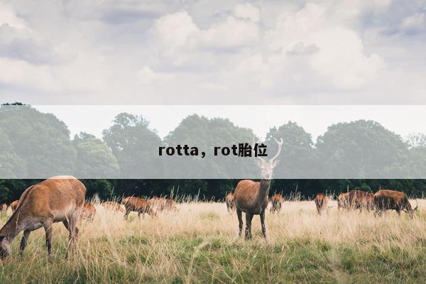 rotta，rot胎位