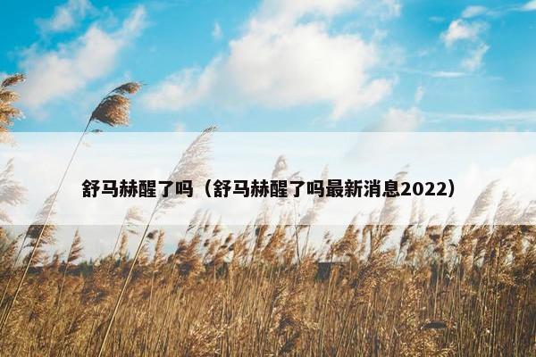 舒马赫醒了吗（舒马赫醒了吗最新消息2022）