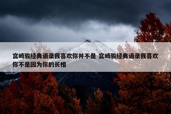 宫崎骏经典语录我喜欢你并不是 宫崎骏经典语录我喜欢你不是因为你的长相