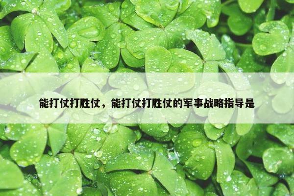 能打仗打胜仗，能打仗打胜仗的军事战略指导是