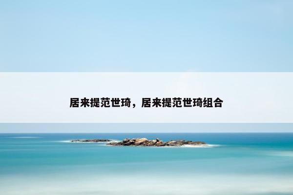 居来提范世琦，居来提范世琦组合