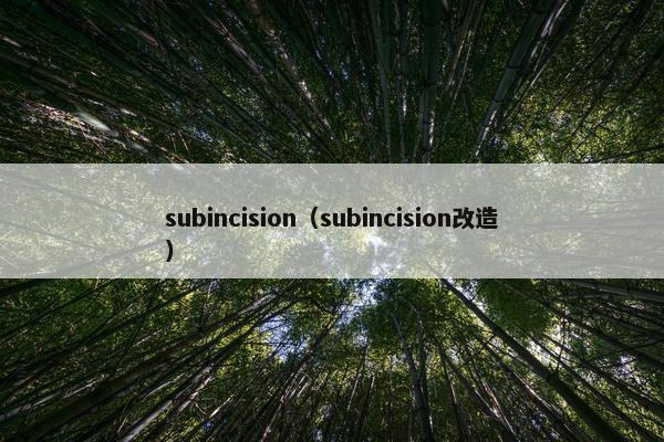 subincision（subincision改造）