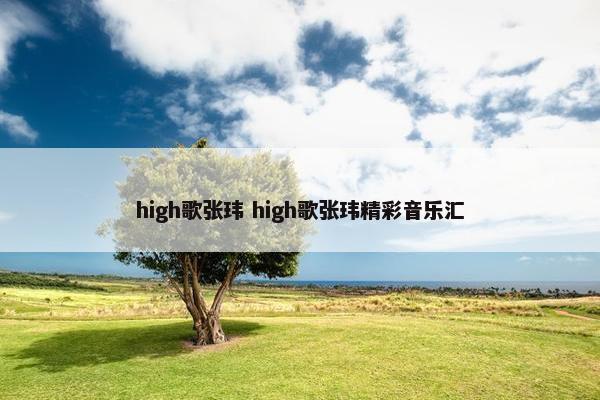 high歌张玮 high歌张玮精彩音乐汇