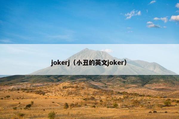 jokerj（小丑的英文joker）