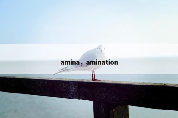 amina，amination