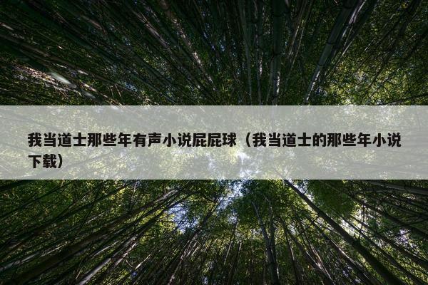 我当道士那些年有声小说屁屁球（我当道士的那些年小说下载）